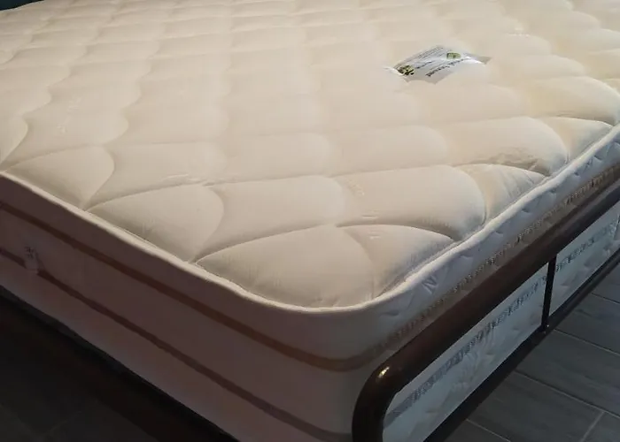 Apartment Cozy And Modern